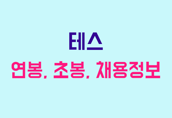 테스 연봉, 초봉, 채용공고 완벽 정리 - 금융왕