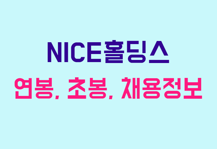 NICE홀딩스 연봉