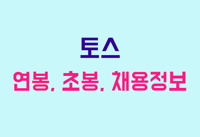 토스 연봉