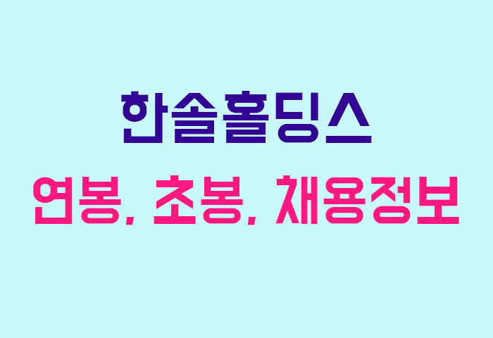 한솔홀딩스 연봉