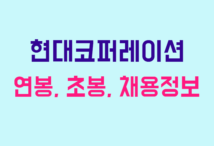 현대코퍼레이션 연봉