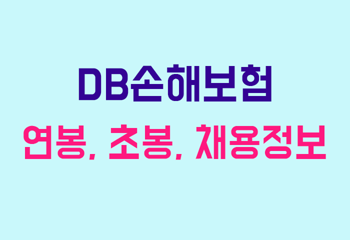 DB손해보험 연봉
