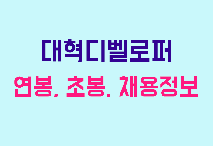 대혁디벨로퍼 연봉