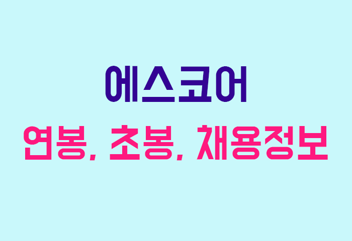 에스코어 연봉