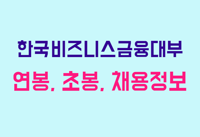 한국비즈니스금융대부 연봉