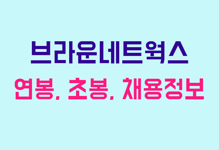 브라운네트웍스 연봉