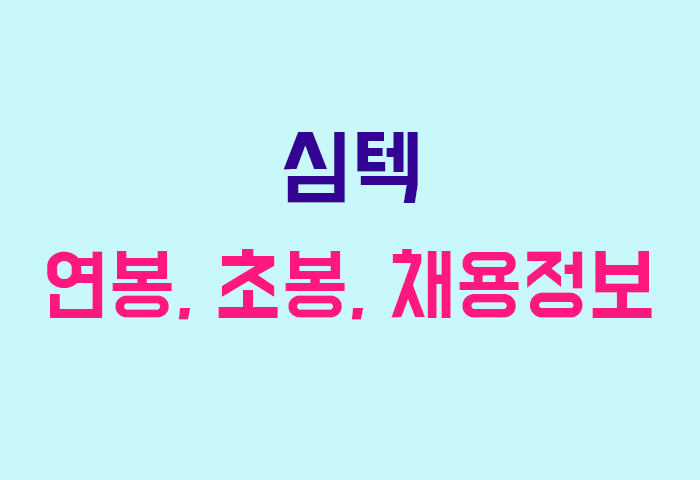 심텍 연봉