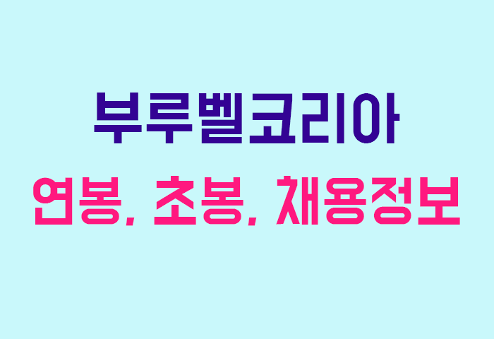부루벨코리아 연봉