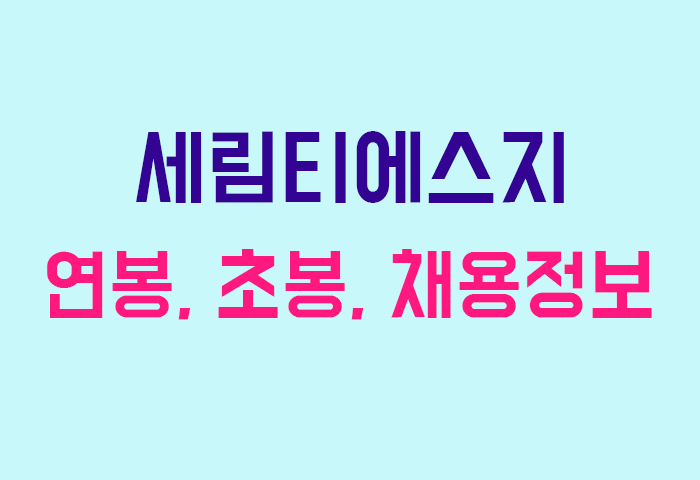 세림티에스지 연봉