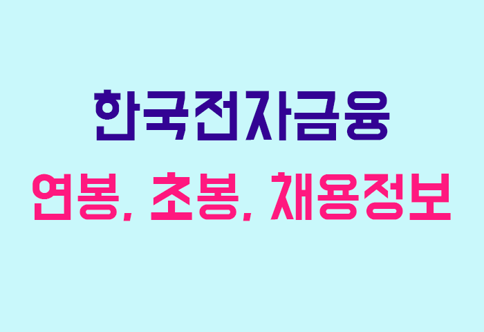한국전자금융 연봉