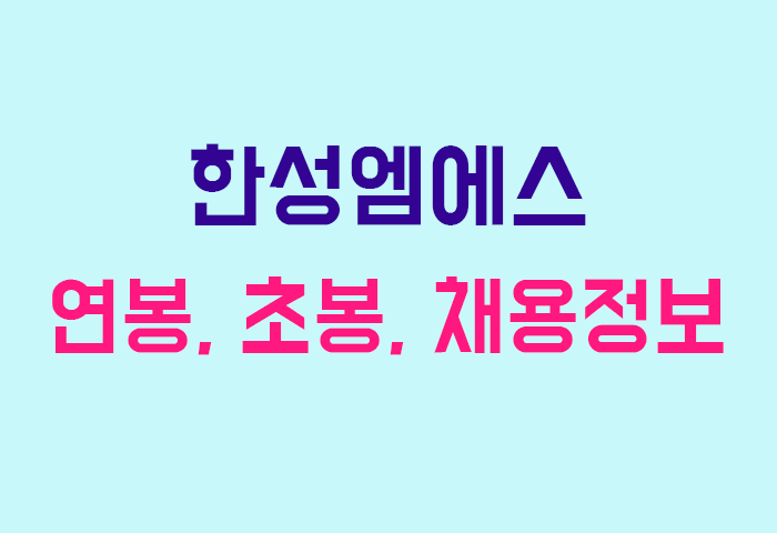 한성엠에스 연봉