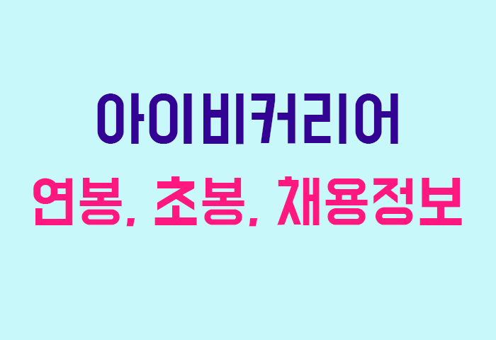 아이비커리어 연봉