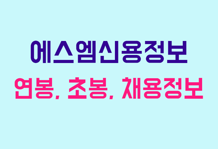 에스엠신용정보 연봉