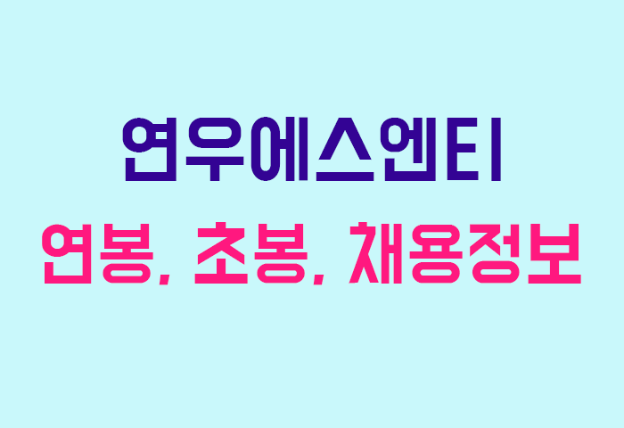 연우에스엔티 연봉