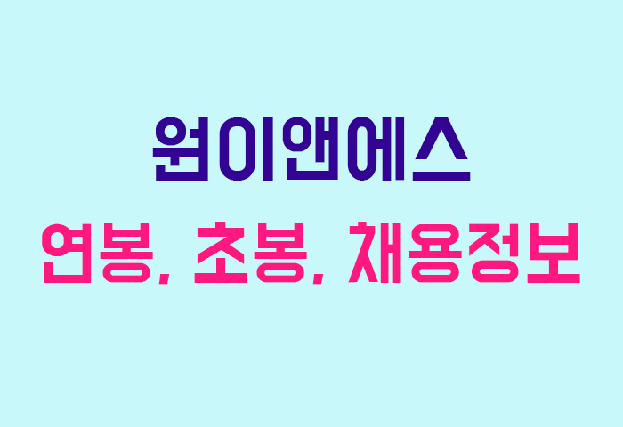 원이앤에스 연봉
