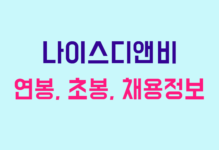 나이스디앤비 연봉