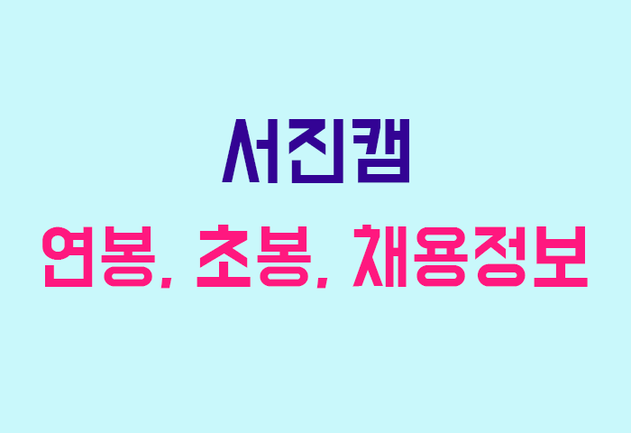 서진캠 연봉