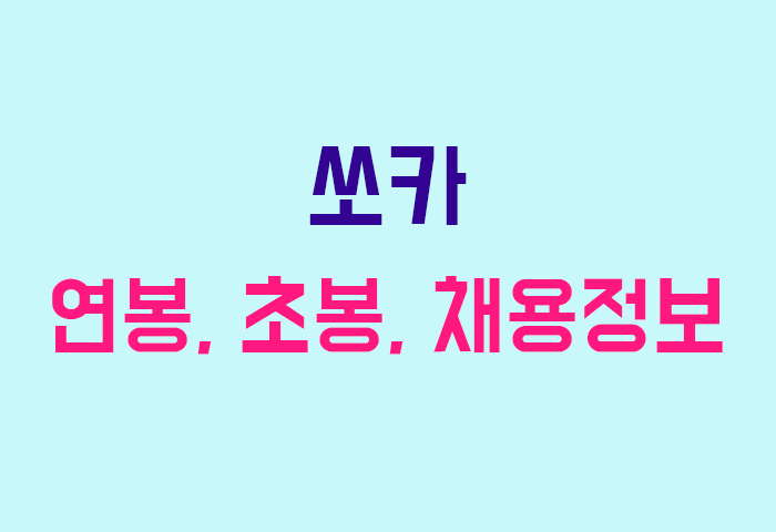 쏘카 연봉