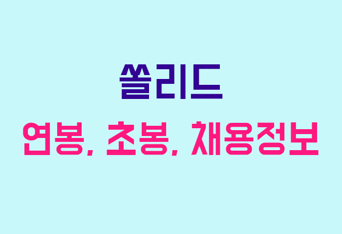 쏠리드 연봉