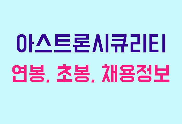 아스트론시큐리티 연봉