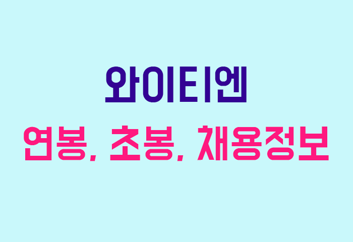 와이티엔 연봉