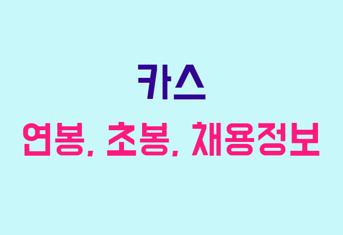 카스 연봉