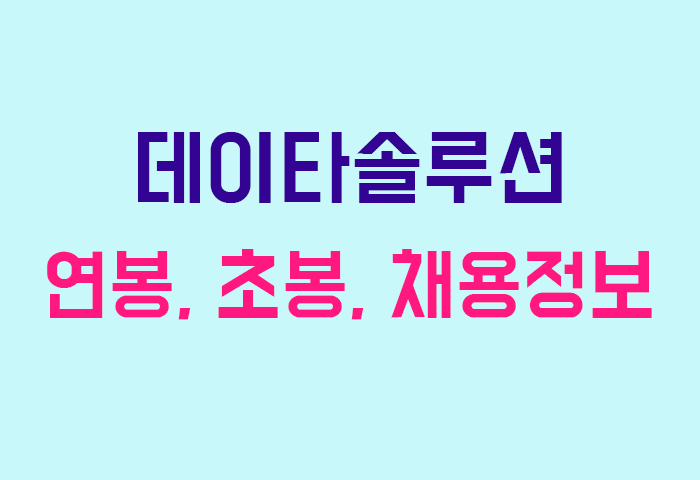 데이타솔루션 연봉