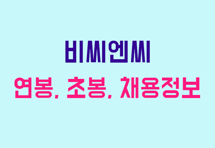 비씨엔씨 연봉
