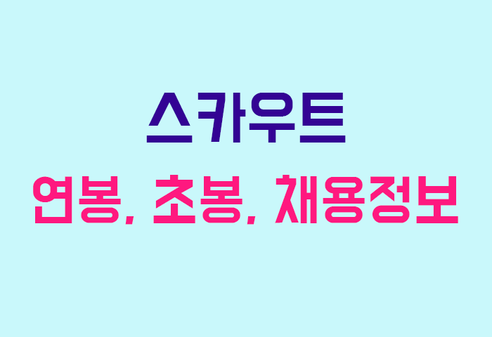 스카우트 연봉