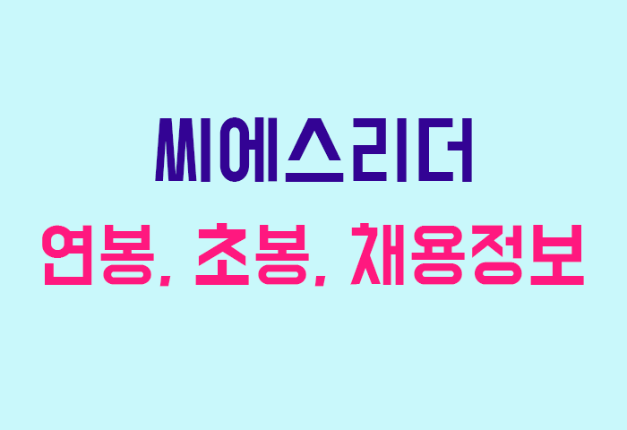 씨에스리더 연봉