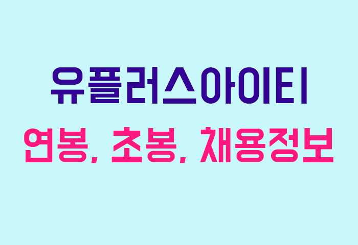 유플러스아이티 연봉