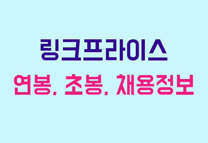 링크프라이스 연봉