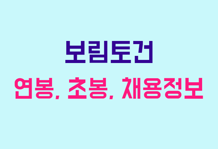 보림토건 연봉