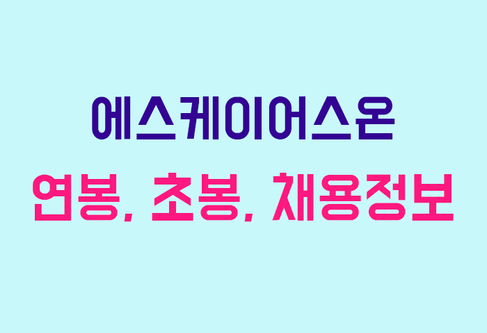 에스케이어스온 연봉