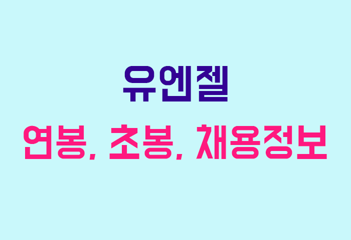 유엔젤 연봉