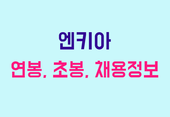 엔키아 연봉