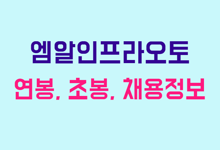 엠알인프라오토 연봉