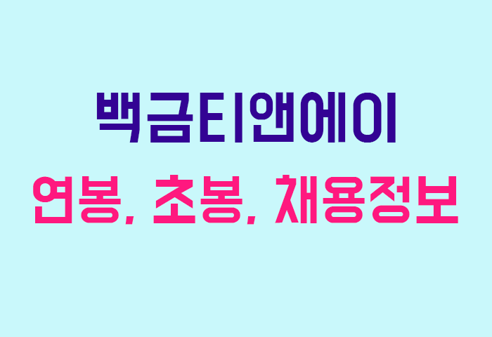 백금티앤에이 연봉