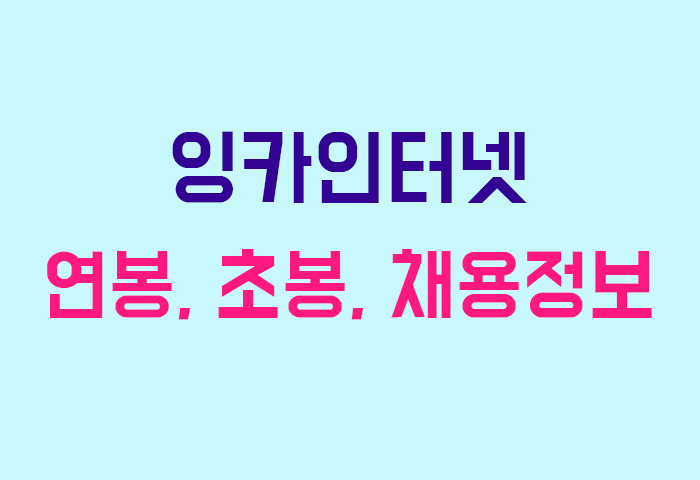 잉카인터넷 연봉