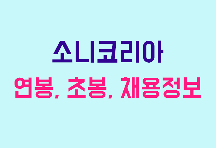 소니코리아 연봉