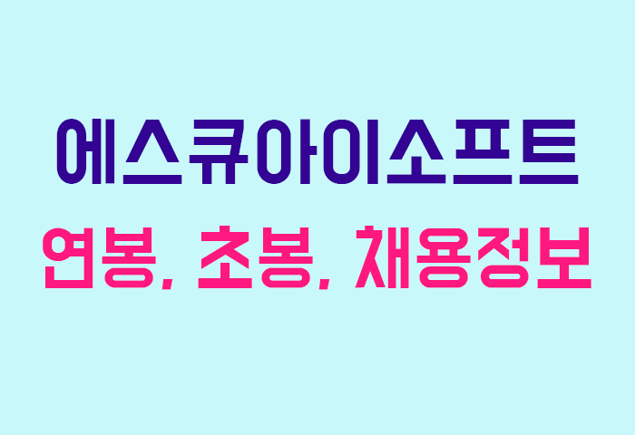 에스큐아이소프트 연봉