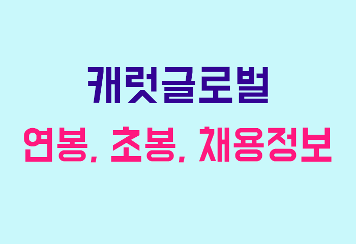 캐럿글로벌 연봉