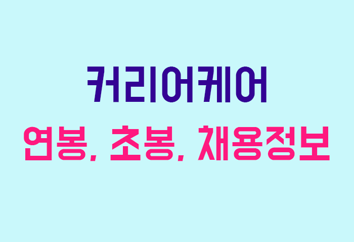커리어케어 연봉