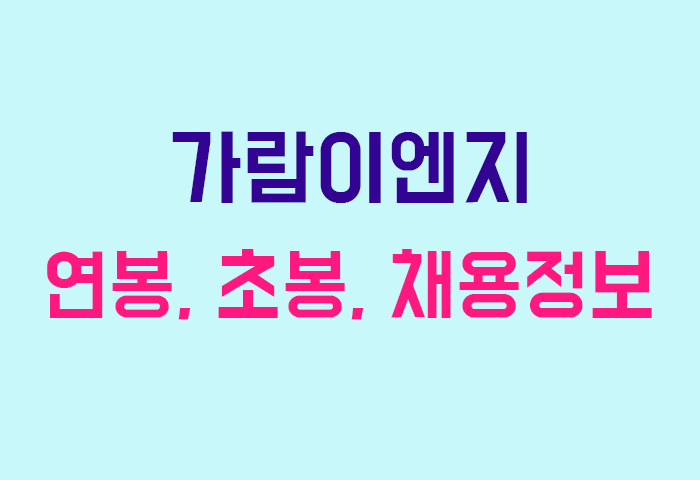 가람이엔지 연봉