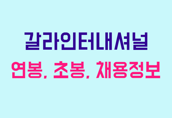 갈라인터내셔널 연봉