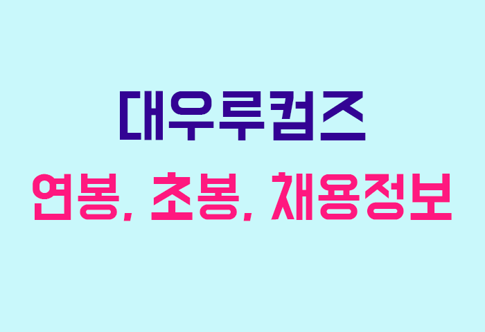 대우루컴즈 연봉