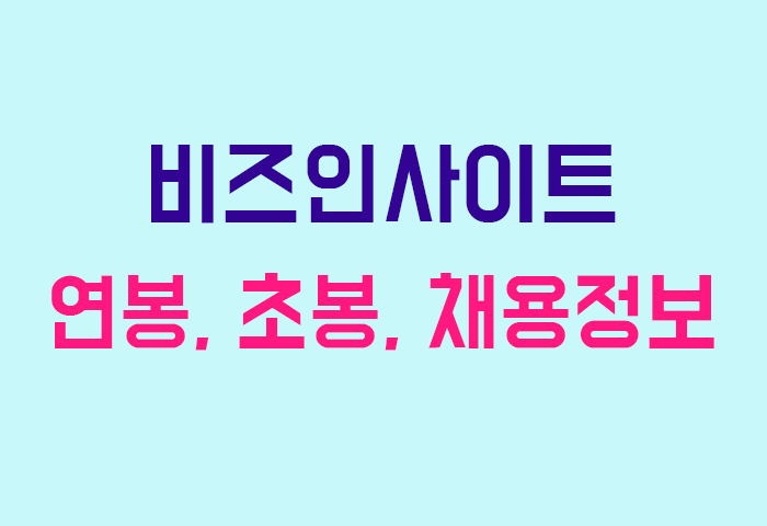 비즈인사이트 연봉
