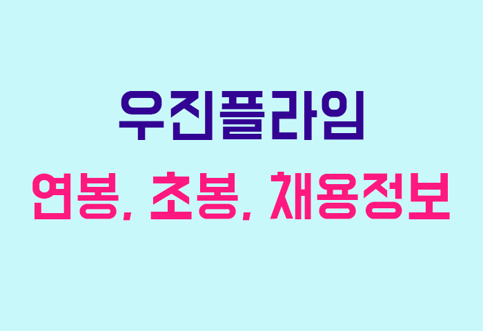 우진플라임 연봉