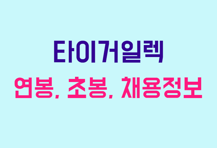 타이거일렉 연봉