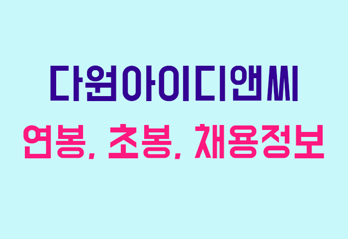 다원아이디앤씨 연봉